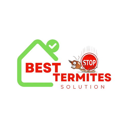 Best Termites